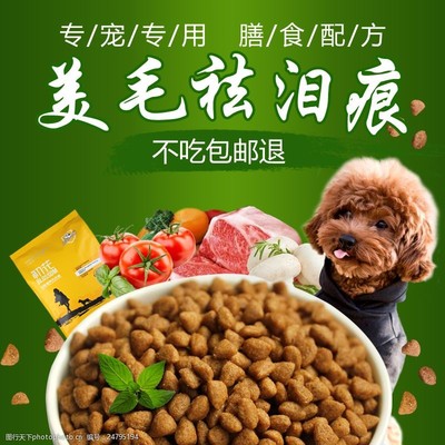 寵物狗糧營養圖片素材 展現寵物食品的健康魅力